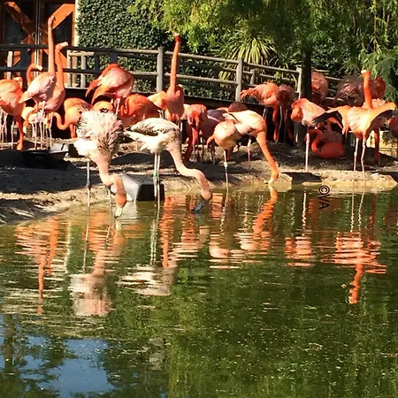 Mobilhome Super Titania - 3 Bedrooms - Family Jf102 *