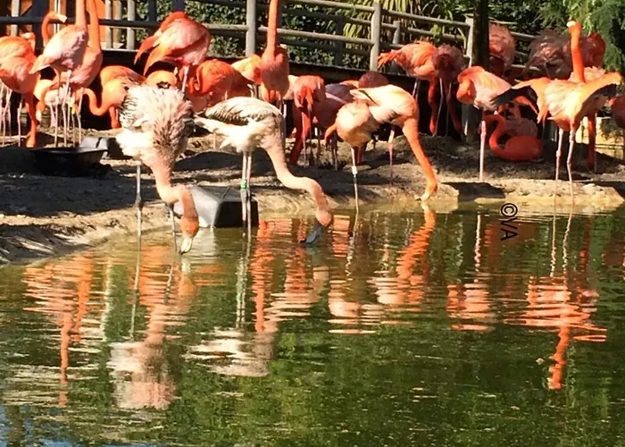 Mobilhome Super Titania - 3 Bedrooms - Family Jf102 *